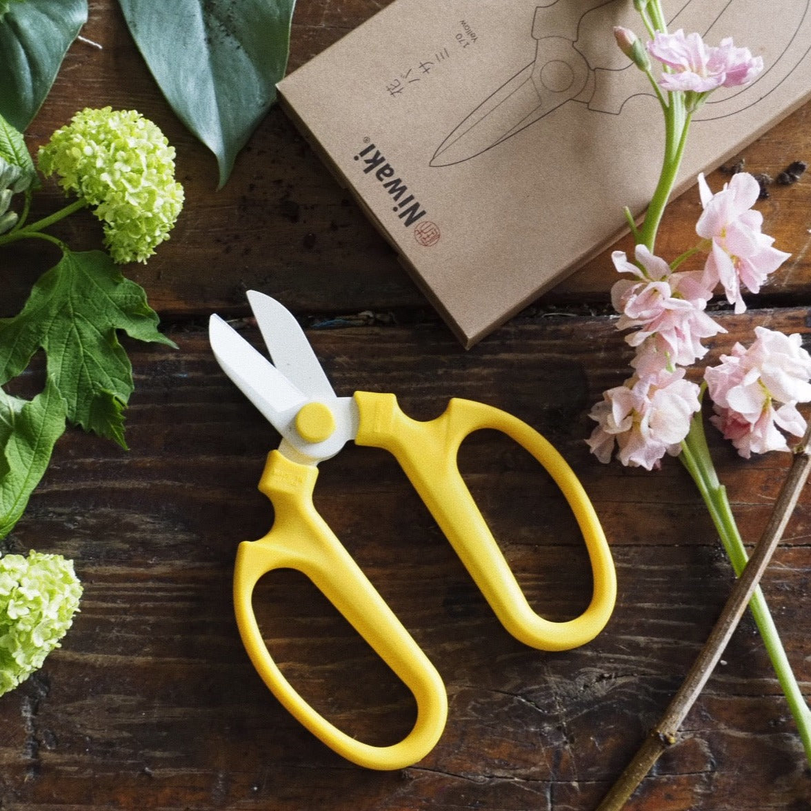 Spring-Open Scissors