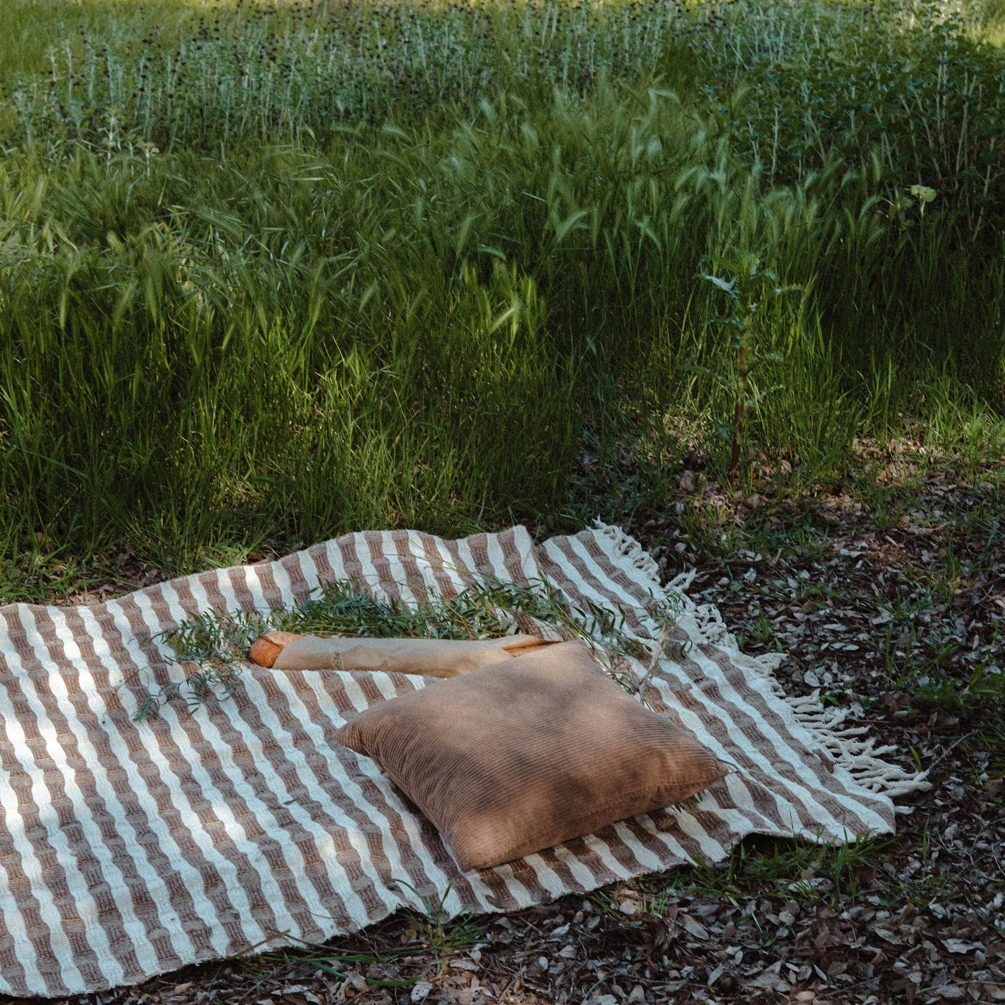 Ramona Brown Stripe Cotton Throw Blanket