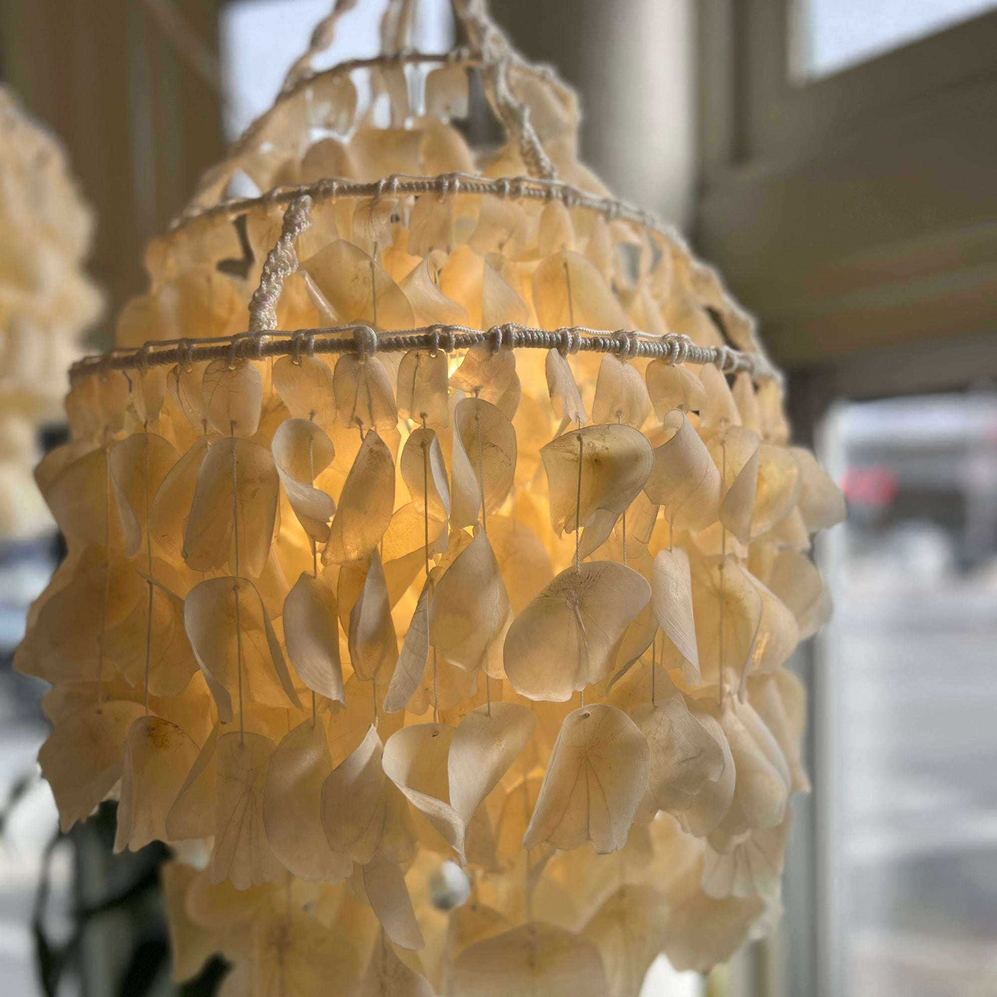 Boho White Shell Macrame Chandelier