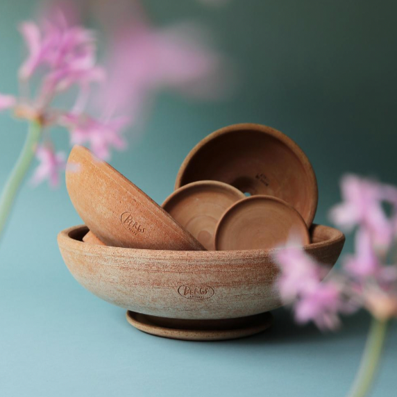 Ada Rosa Pot and Saucer by Bergs Potter