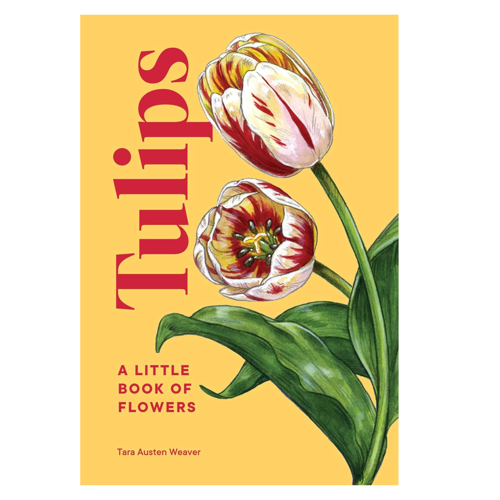 Tulips: A Little Book of Flowers