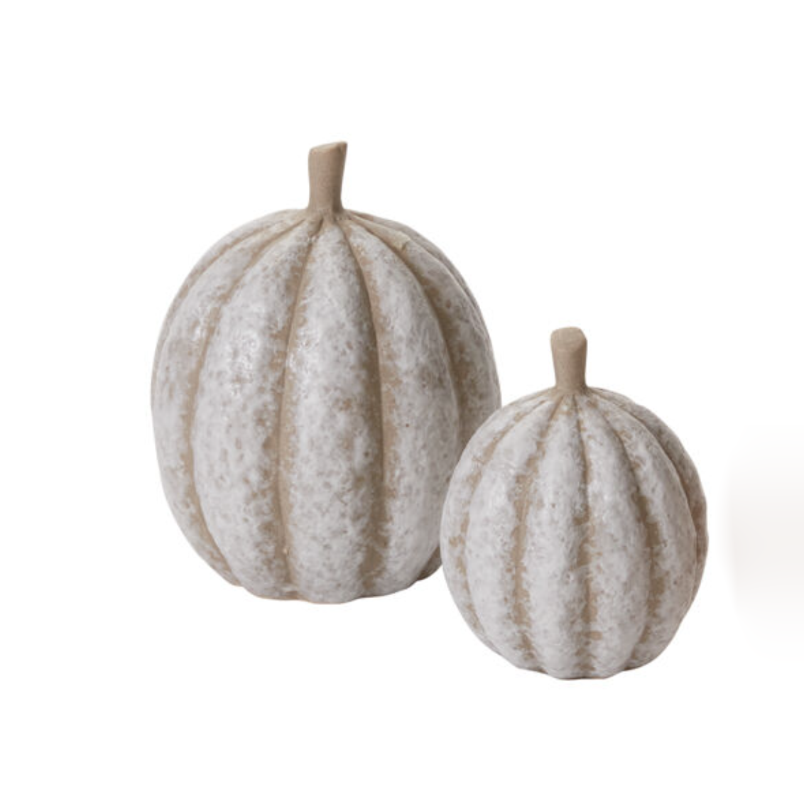 Set of 2 Muted Ceramic Pumpkins