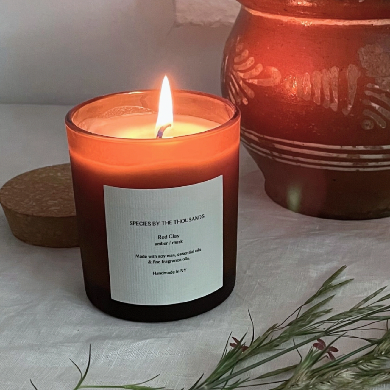 Species by the Thousand Soy Candle