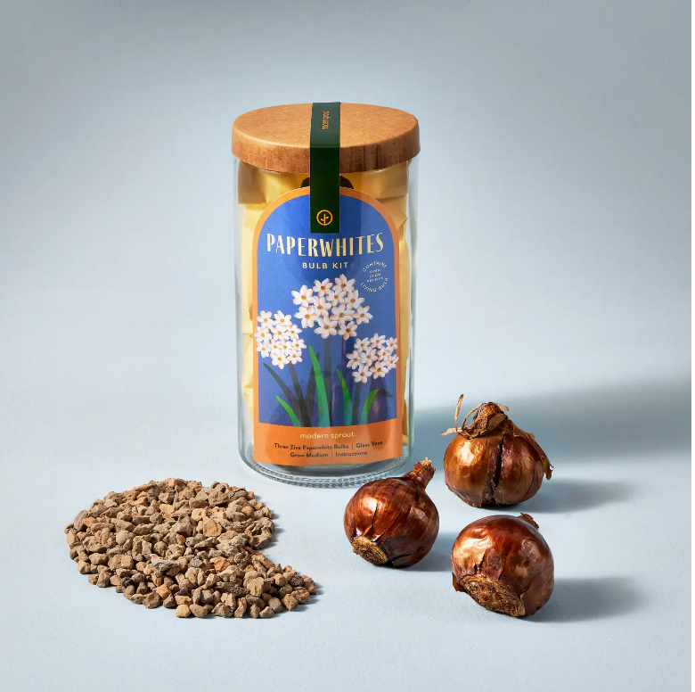 Modern Sprout Winter Bulb Kit