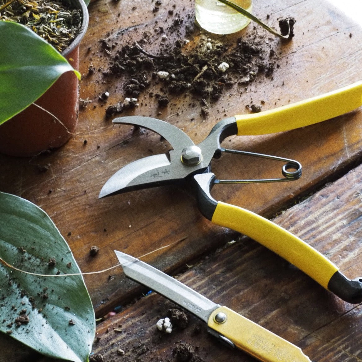 Pruning &quot;Secateur&quot; Shears