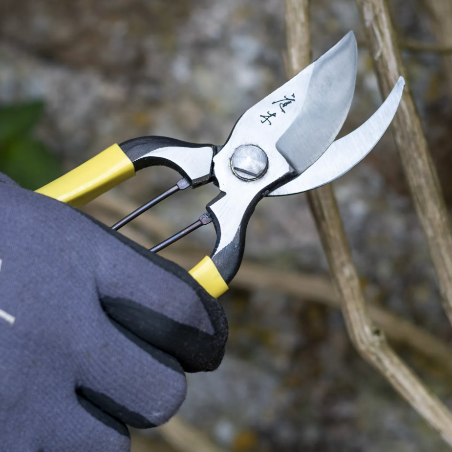 Pruning "Secateur" Shears