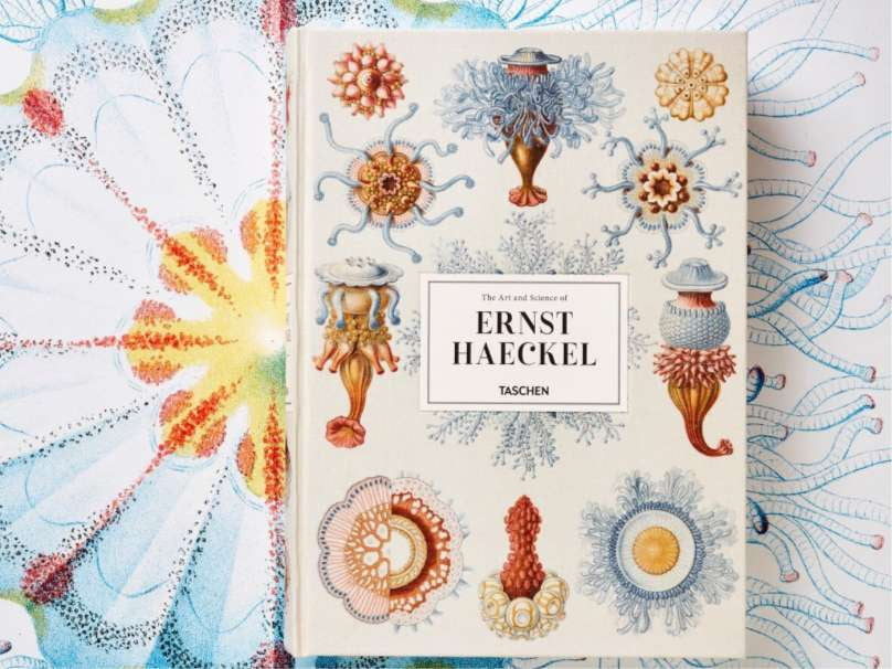 Ernst Haeckel Book - Books - Taschen - Hops Petunia Floral